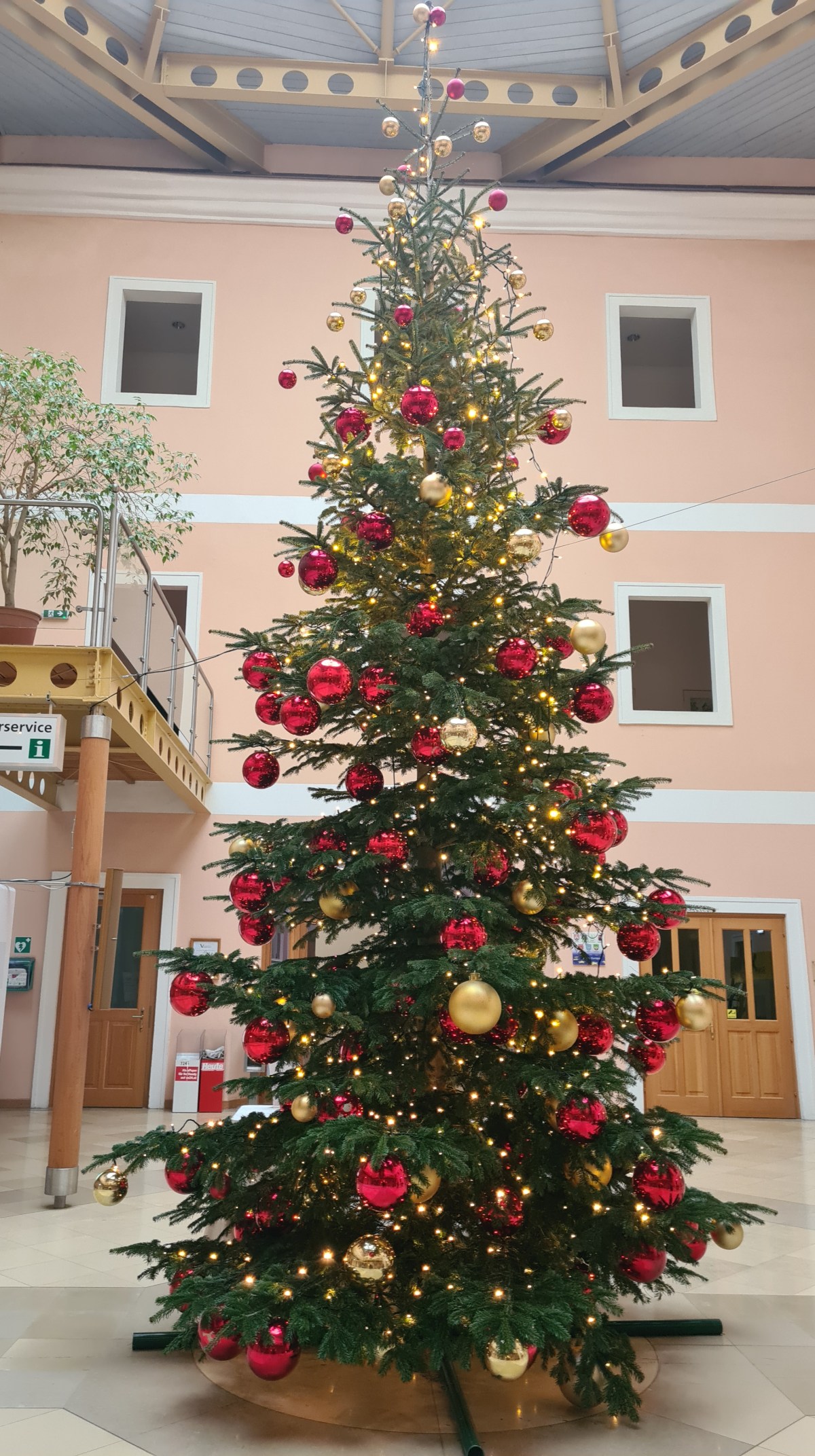 Frohe Weihnachten! 🎄