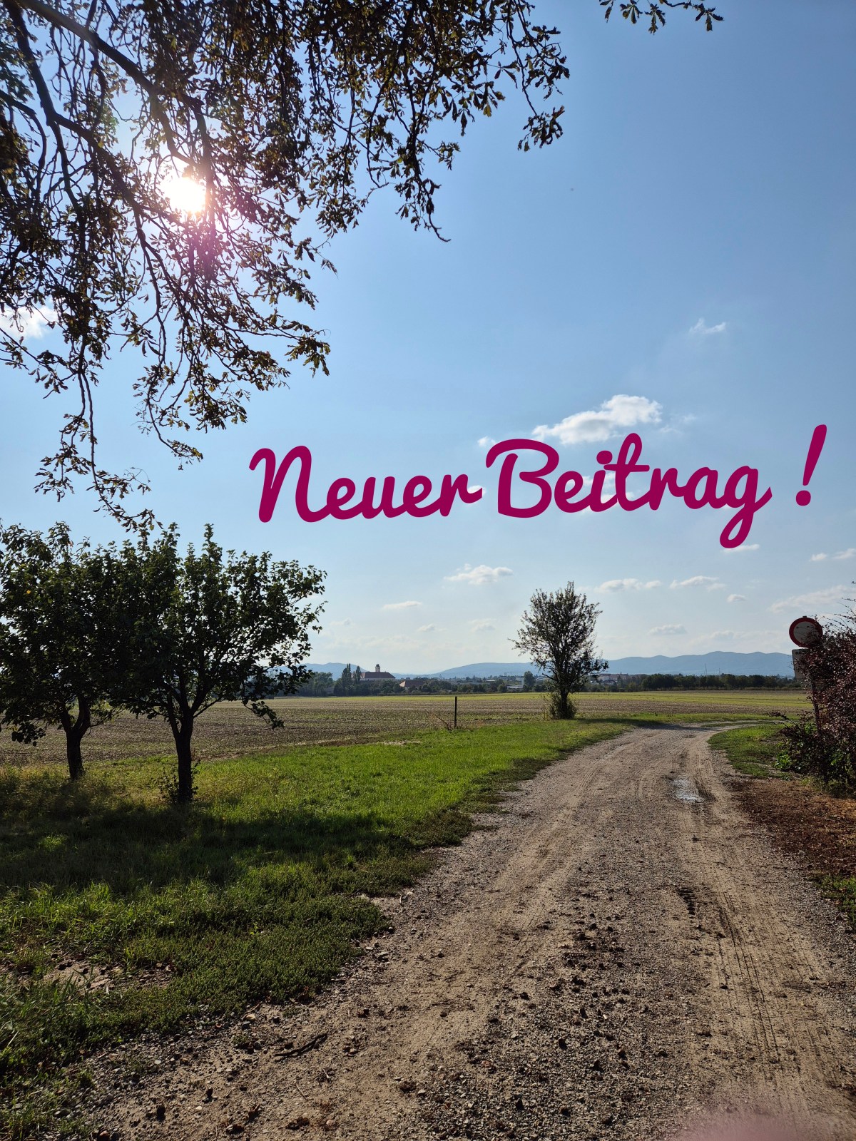 Vergleiche im Bezirk