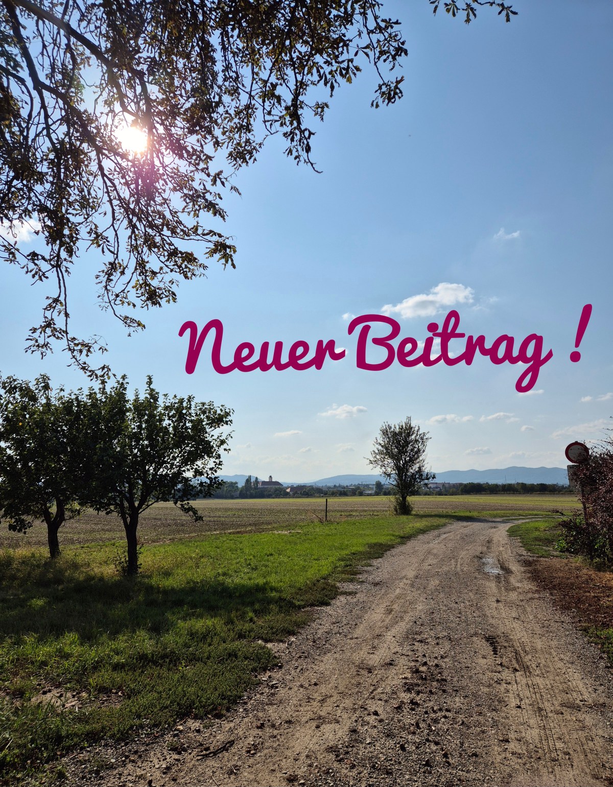 Zuständigkeit Gemeinderat